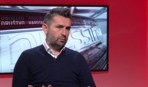 Bjelica