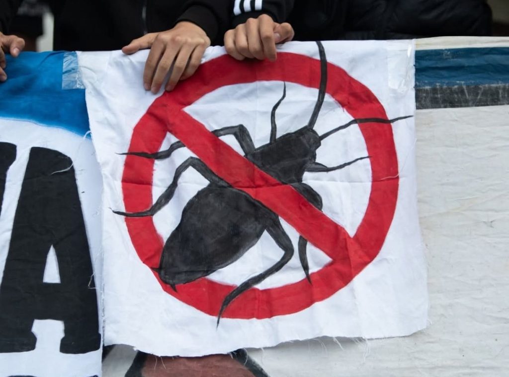 Kohorta nikad brutalnija prema Čoharu